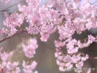 临汾市枫雅装饰装修工程有限公司