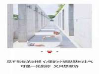 临汾市枫雅装饰装修工程有限公司