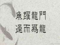 临汾市枫雅装饰装修工程有限公司