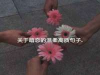 临汾市枫雅装饰装修工程有限公司