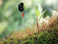 临汾市枫雅装饰装修工程有限公司