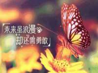 临汾市枫雅装饰装修工程有限公司