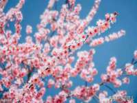 临汾市枫雅装饰装修工程有限公司