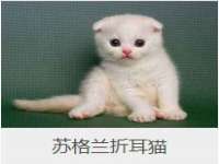 临汾市枫雅装饰装修工程有限公司