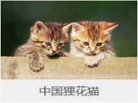 临汾市枫雅装饰装修工程有限公司
