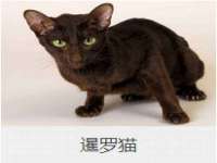 临汾市枫雅装饰装修工程有限公司