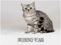 临汾市枫雅装饰装修工程有限公司