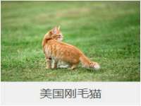 临汾市枫雅装饰装修工程有限公司