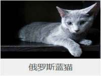 临汾市枫雅装饰装修工程有限公司