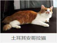 临汾市枫雅装饰装修工程有限公司