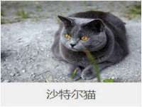 临汾市枫雅装饰装修工程有限公司