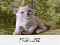临汾市枫雅装饰装修工程有限公司