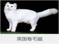 临汾市枫雅装饰装修工程有限公司