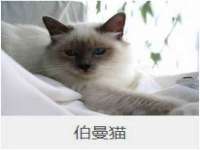 临汾市枫雅装饰装修工程有限公司