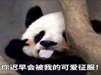 临汾市枫雅装饰装修工程有限公司