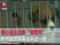 临汾市枫雅装饰装修工程有限公司