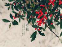 临汾市枫雅装饰装修工程有限公司