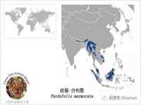 临汾市枫雅装饰装修工程有限公司