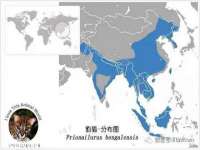 临汾市枫雅装饰装修工程有限公司