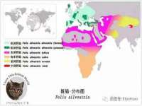 临汾市枫雅装饰装修工程有限公司