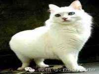 临汾市枫雅装饰装修工程有限公司