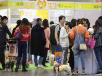 临汾市枫雅装饰装修工程有限公司