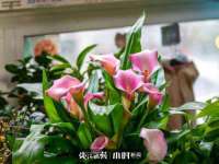临汾市枫雅装饰装修工程有限公司