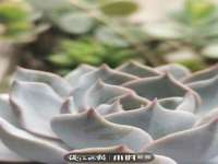 临汾市枫雅装饰装修工程有限公司