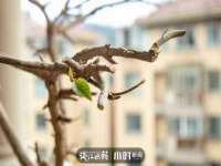 临汾市枫雅装饰装修工程有限公司
