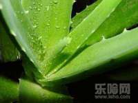 临汾市枫雅装饰装修工程有限公司