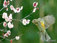 临汾市枫雅装饰装修工程有限公司