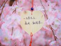 临汾市枫雅装饰装修工程有限公司