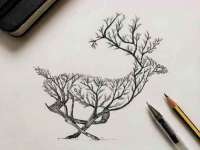 临汾市枫雅装饰装修工程有限公司