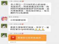 临汾市枫雅装饰装修工程有限公司