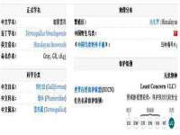 临汾市枫雅装饰装修工程有限公司