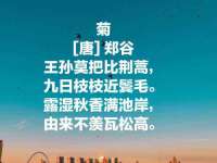 临汾市枫雅装饰装修工程有限公司
