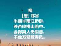 临汾市枫雅装饰装修工程有限公司