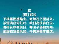 临汾市枫雅装饰装修工程有限公司