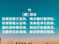 临汾市枫雅装饰装修工程有限公司
