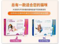 临汾市枫雅装饰装修工程有限公司