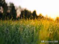 临汾市枫雅装饰装修工程有限公司