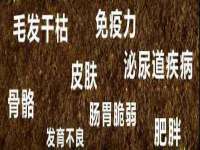 临汾市枫雅装饰装修工程有限公司