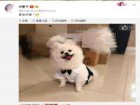 临汾市枫雅装饰装修工程有限公司