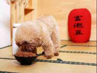 临汾市枫雅装饰装修工程有限公司
