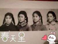 临汾市枫雅装饰装修工程有限公司