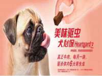 临汾市枫雅装饰装修工程有限公司