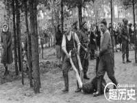 临汾市枫雅装饰装修工程有限公司