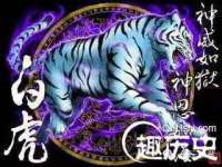 临汾市枫雅装饰装修工程有限公司