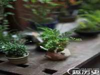 临汾市枫雅装饰装修工程有限公司