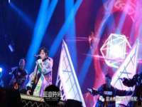 临汾市枫雅装饰装修工程有限公司